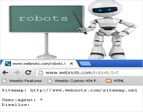 您需要了解的关于 Robots.txt 文件的所有信息