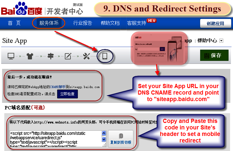 DNS 和重定向设置