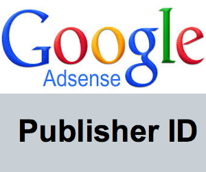 关于 AdSense 发布商 ID 您应该知道的一切