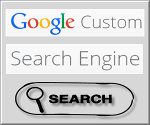 如何在网站中添加谷歌自定义搜索框？
