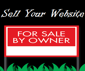 如何销售您的网站