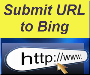 什么是 Bing 网站管理员工具中的提交 URL 选项？