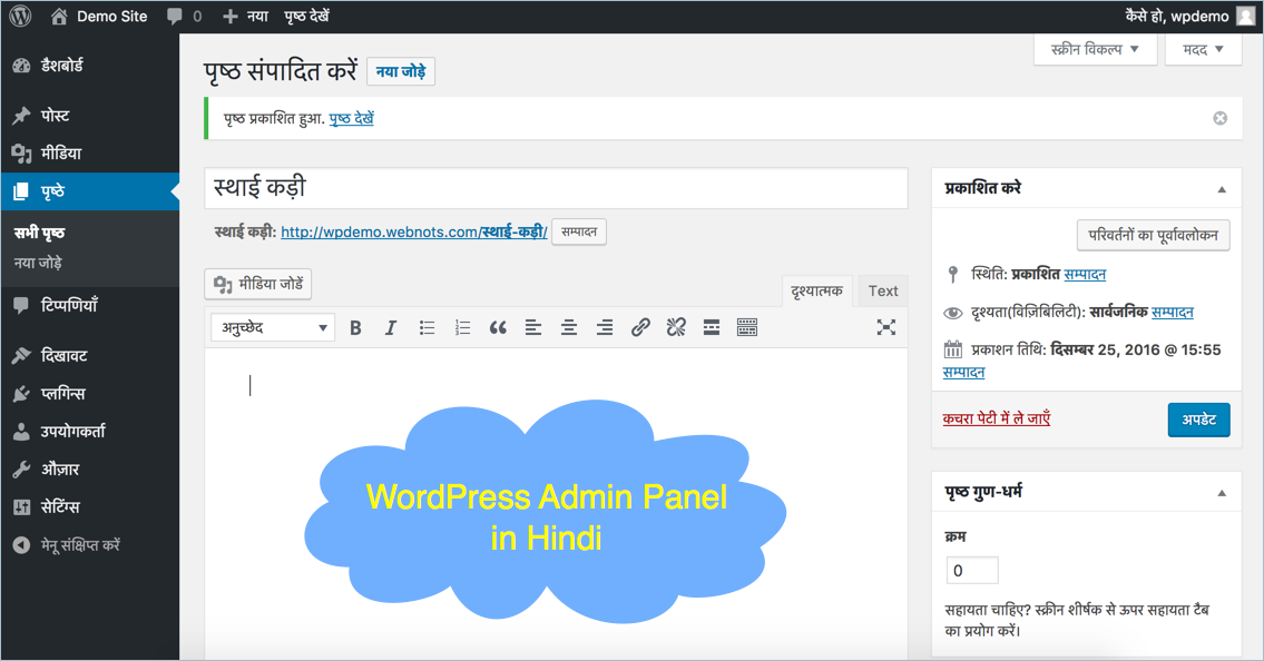 印地语的 WordPress 管理面板