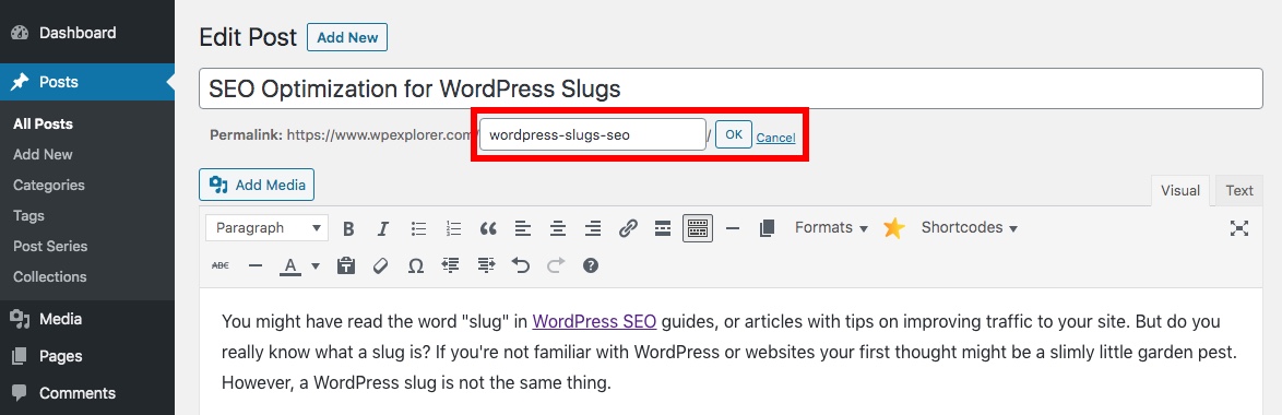 WordPress 蛞蝓设置