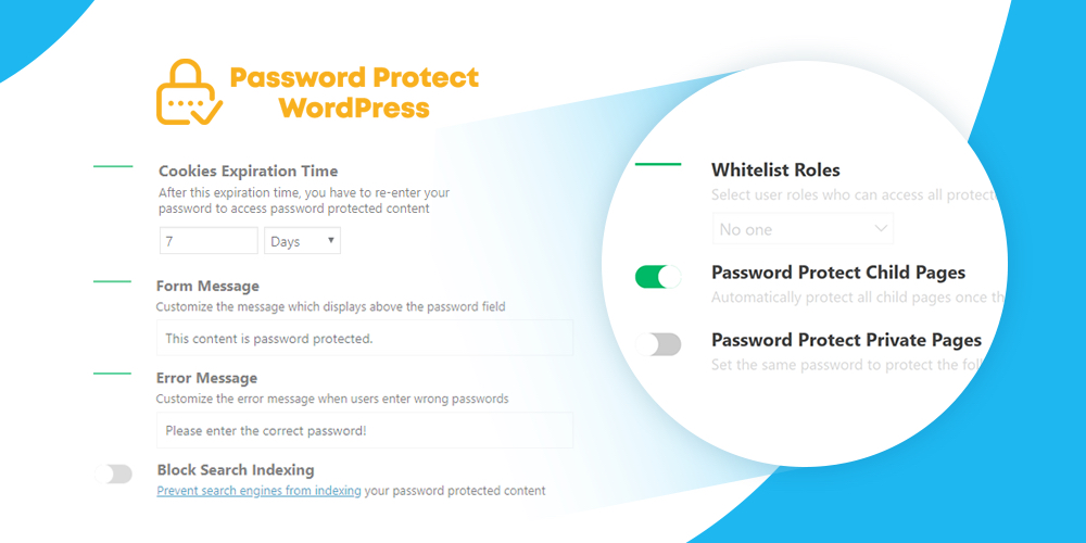 密码保护 WordPress Pro